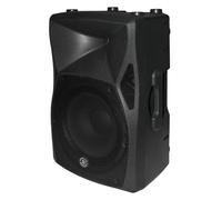 TOPP PRO FORZA 12A Speaker Attivo 12" 830W Con lettore USB/SD_CARD MP3 integrato