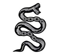 Toppa a serpente con ferro da stiro Patch ricamata Applique per giacca serpente adesivo per zaino badge decorativi 1 pezzo