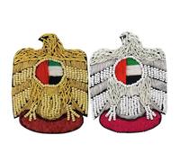 Toppa da cucire in seta indiana, fatta a mano, a forma di aquila, per cappelli e abiti, giacche, borse (mix di 2 pezzi)