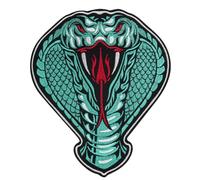 Toppa ricamata a forma di serpente con emblema Cobra punk, da applicare con ferro da stiro, giacche, cappelli, zaini, pantaloni, jeans, accessori