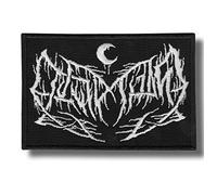 Toppa ricamata con ferro da stiro