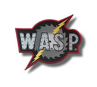 Toppa ricamata da applicare con ferro da stiro