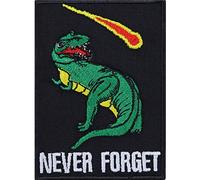 Toppa ricamata da applicare con ferro o cucire "Never forget" Dinosauri Tyrannosaurus Rex Patch - divertente regalo per zaino/maglietta - 90x65mm