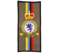 Toppa ricamata FACS dello squadrone aereo dell'Università di Birmingham -...