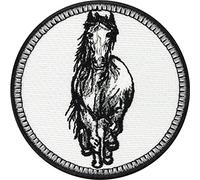 Toppa ricamata ferro o cucitura: Cavalli - Patch animali locali - Regalo ragazze amanti dell'equitazione - Abzeichen sport equestre - Adesivo resistente alle intemperie - 70x70mm
