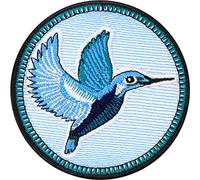 Toppa ricamata ferro o cucitura: Colibrì - Patch premium birdwatching - Adesivo resistente da cucire - Emblema Kingfisher - Tessile decorativo per osservazione uccelli - 75x75mm