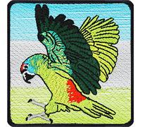 Toppa ricamata ferro o cucitura papagallo | patch birdwatching da annodare/stirare| adesivo ornitologico per l'osservazione degli uccelli | emblema parrot per decorazioni tessili | dimensioni: 75x75mm