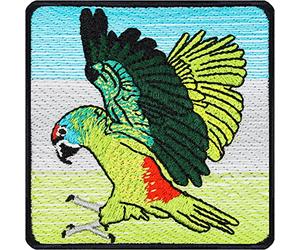 Toppa ricamata ferro o cucitura papagallo | patch birdwatching da annodare/stirare| adesivo ornitologico per l'osservazione degli uccelli | emblema parrot per decorazioni tessili | dimensioni: 75x75mm