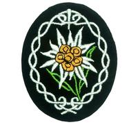 Toppa ricamata termoadesiva o da cucire, motivo: Stella alpina della Seconda Guerra Mondiale della Seconda Guerra Mondiale, 8,9 cm