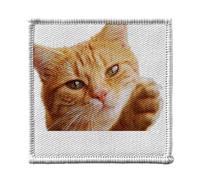 Toppa termoadesiva per abbigliamento 7 x 7 cm, motivo: gatto rosso pelo lungo carino animale da compagnia, toppa da stirare per riparazione o personalizzazione, maglietta con borsa jeans stampata in