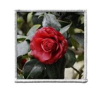 Toppa termoadesiva per abbigliamento, 7 x 7 cm, motivo: rosa rossa scura, amore passione, toppa da stirare per riparazione o personalizzazione, maglietta con borsa jeans stampata in Francia