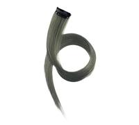 Toppe for capelli colorati appese alle orecchie, extension for capelli con strisce di colore opaco, possono essere stirate a lungo, parrucca Direct Hair 20 pezzi(Gray)