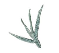 Toppe ricamate da stirare, Confezione da 5 toppe ricamate da applicare con ferro da stiro e da cucire, bambù verde cinese, diverse misure(6x6cm)