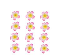 TOPPERFUN 12 pezzi Fermagli per Plumeria Rosa Accessori per Sposa e per Matrimonio Spiaggia e Feste