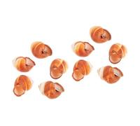 TOPPERFUN 2 Set Guscio di Lumaca Lumache Gusci di Lumache Cottura Piatto di Lumache Materiale per Lumache Conchiglie Mini Conchiglie Cibo per Lumache Piatto di Lumache 5 Pezzi * 2