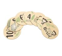 TOPPERFUN 7 Pezzi Dischi in Legno Per Tappe Mensili Biglietti Per Crescita Della Bambina Cartello in Legno Per Tappe Della Bambina Dischi Per