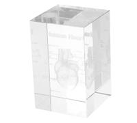 TOPPERFUN Anatomico Del Cuore Umano in Cristallo Fermacarte Decorativo Per Studenti Di Medicina e Ufficio Scientifico Per Lauree e Natale Design Elegante Con Incisione Interna Dettagliata