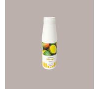 Topping al Gusto Mango Salsa Dolce ideale per Gelato Dessert Yogurt Leagel 1 Kg