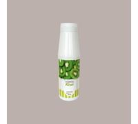 Topping Gusto Kiwi Salsa Dolce ideale per Gelati Dessert Yogurt Leagel 1 Kg