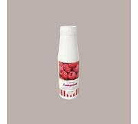 Topping Salsa Dolce per Gelato e Dessert al Gusto Lampone Leagel - 1 Kg -