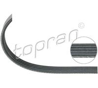 TOPRAN 111 855 Cinghia Poly-V per AUDI