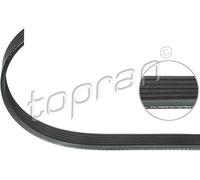 TOPRAN 113 202 Cinghia Poly-V per AUDI,SEAT,SKODA,VW