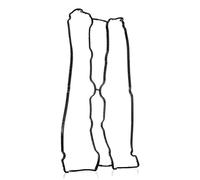 TOPRAN 206 133 Guarnizione, Copritestata