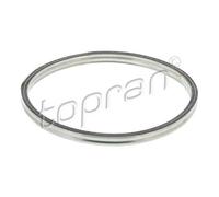 TOPRAN 302 247 Guarnizione Tubo di Scarico per Ford Fuoco Torneo Dnw