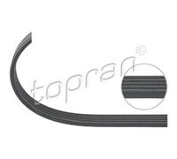 TOPRAN Cinghia Scanalata per BMW 5er 3er Mitsubishi Space Star COLT V