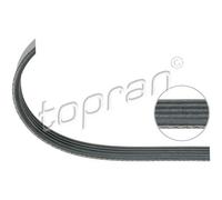 TOPRAN Cinghia Scanalata per Fiat Ducato Pritsche/Telaio Ford Transit