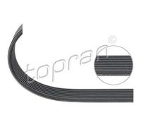 TOPRAN Cinghia Scanalata per Mercedes-Benz Modello T SLK 401 951