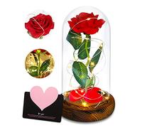 TOPSEAS Rosa in un bicchiere, la bella e la bestia, rosa eterna in un bicchiere, kit regalo per la decorazione della casa, regalo per la festa della mamma, Natale, compleanno, matrimonio