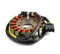 Topteng Generator Stator adatto per Honda CB600F Hornet 600 PC41 2007-2013, adatto per Honda CBF600N (Naked) 2008-2010, adatto per Honda CBF600S 2008-2010