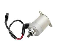 Topteng Starter 31200119-000 Adatto per AEON ATV Cobra/Overland 125 180, C1200-V30-0000 Adatto per E-TON ATV Viper/Yukon, 31200-197-0A0 Adatto per Adly ATV Sport/Crossroad 150