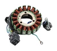 Topteng Stator Generator Adatto per Triton Baja 250 300 400 Outback 300 400-31120-E10-101