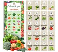 TORAF Set di Semi Orto 20 Varietà - Verdure Premium per Giardino, Balcone e Serra - Broccoli, Pomodoro, Cetriolo, Rucola, Lattuga, Cipolle, Peperoncino - Coltivazione Facile - Semi da Piantare