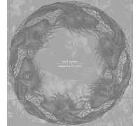 Torch Runner - Committed To The Ground