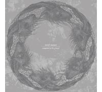 Torch Runner - Committed To The Ground