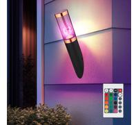 Torcia Luce con Piedistallo Piantana Movimento IP44 Telecomando RGB LED [EEK: F]