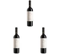 Tordelcolle Brindisi DOC Riserva - Vino Rosso Italiano - Bottiglia 750 ml - 14% Vol - Intenso, Morbido, Affinato 24 Mesi (Confezione da 3)