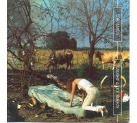 TORI AMOS - Caught a Light Sneeze