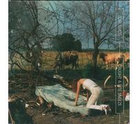 Tori Amos - Caught A Little Sneeze(Cartonne-3titres)