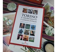 Torino il Risorgimento e l' unità d' Italia Arte Storia Pedron SOLETTI RARO