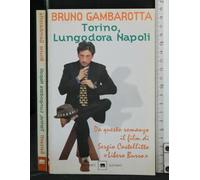 Torino, lungodora Napoli