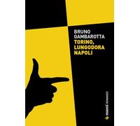 Torino, lungodora Napoli
