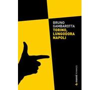 Torino, lungodora Napoli