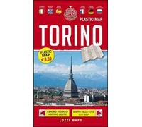 Torino plastic map