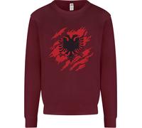 Torn Albania Bandiera Albanese Giorno Calcio Bambini Felpa Maglione