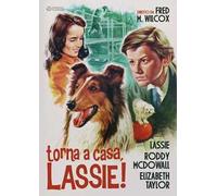 Torna A Casa Lassie (DVD) Taylor Bruce Dowall Crisp Whitty