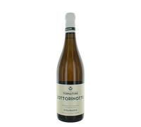 Tornatore Etna Bianco Zottorinotto 2021